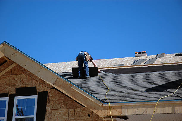 Best Roof Gutter Cleaning  in Red Bank, TN