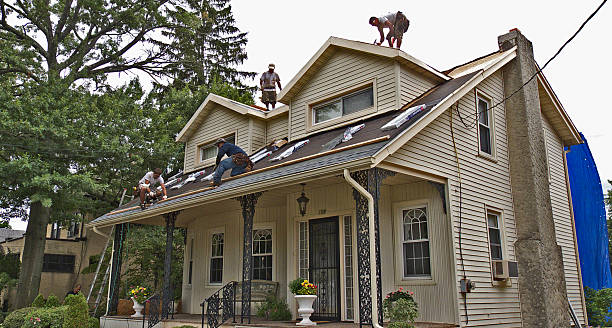 Roof Gutter Cleaning in Red Bank, TN